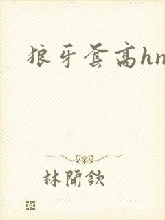 狼牙套高hnp