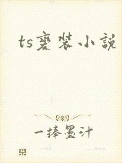 ts变装小说封面