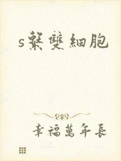s系双细胞
