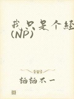 我只是个经纪人(NP)