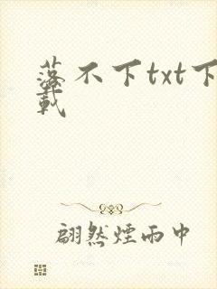 落不下txt下载