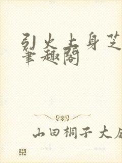 引火上身芝麻糖笔趣阁