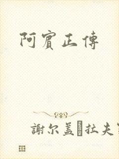 阿宾正传