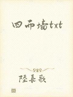 四面墙txt
