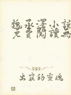 魏承泽小说全文免费阅读无弹窗笔趣