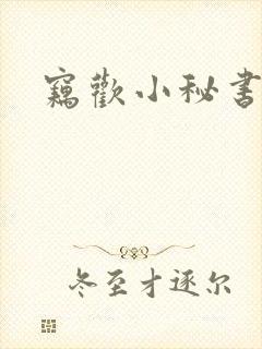 窃欢小秘书封面