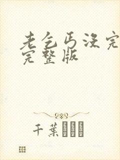 老乞丐没完没了完整版
