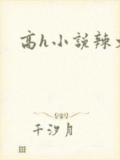 高h小说辣文