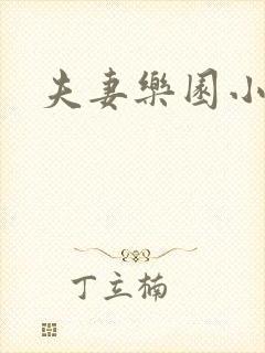 夫妻乐园小说