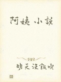 阿姨 小说
