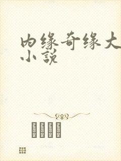 内缘奇缘大团圆小说