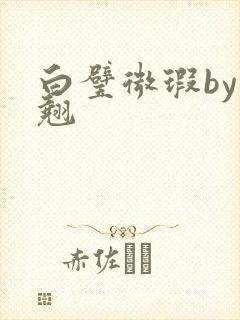 白璧微瑕by连翘封面