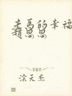 老马的幸福生活赵思思