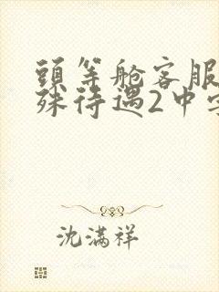 头等舱客服的特殊待遇2中字封面