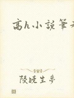 高h小说笔趣阁