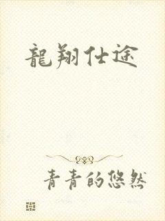 龙翔仕途