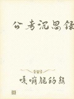 公考沉思录
