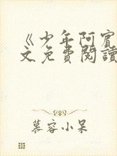 《少年阿宾》全文免费阅读封面