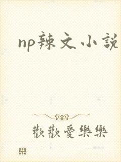 np辣文小说