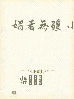 媚者无疆 小说