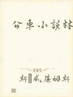 公车小说林蔓蔓