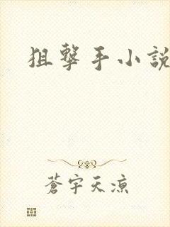 狙击手小说