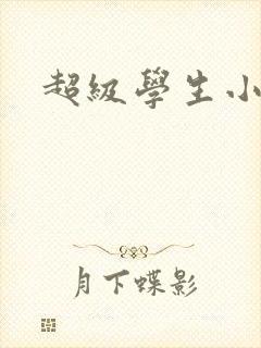 超级学生小说