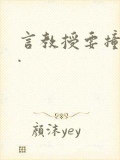 言教授要撞坏了.封面