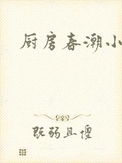 厨房春潮小说