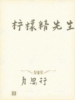 柠檬精先生