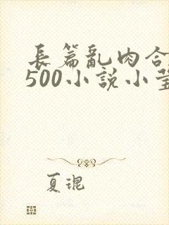 长篇乱肉合集乱500小说小莹封面