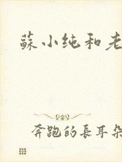 苏小纯和老苏