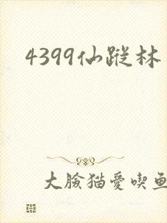 4399仙踪林封面
