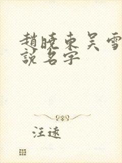 赵晓东吴雪晴小说名字