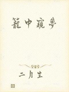 笼中窥梦
