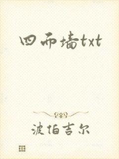 四面墙txt