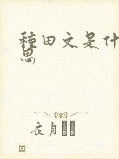 种田文是什么意思封面