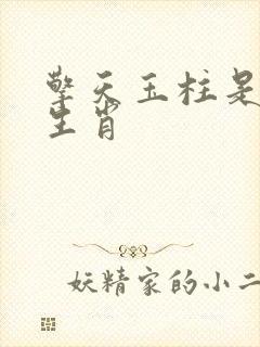擎天玉柱是什么生肖