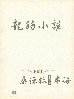 龙的小说