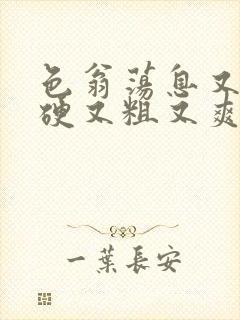 色翁荡息又大又硬又粗又爽