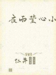夜雨莹心小说