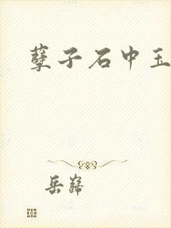 孽子石中玉