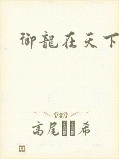 御龙在天下载