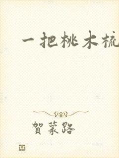 一把桃木梳封面