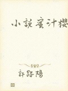 小说蜜汁樱桃