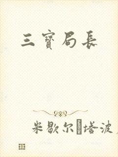 三宝局长封面