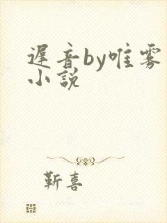 迟音by唯雾的小说封面