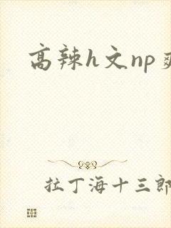 高辣h文np爽