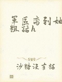 军区脔到她哭h粗话h