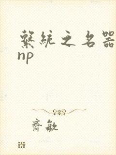 系统之名器攻略np